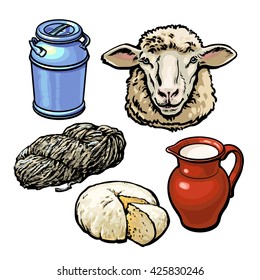 head of sheep and production vector sketch hand-drawn illustration isolated on white background. dairy products from sheep, wool, farm cheese and milk