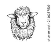Head of sheep sketch style, hand drawn illustration.  Farm animal retro engraved style vector drawing.