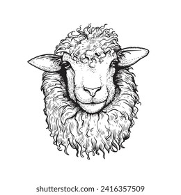 Head of sheep sketch style, hand drawn illustration.  Farm animal retro engraved style vector drawing.