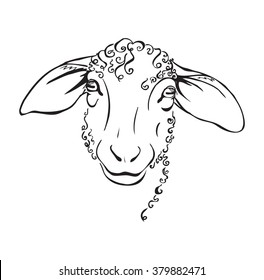 head sheep, stylized black and white vector illustration