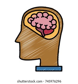 Head silhouette with brain