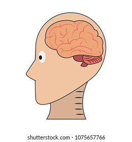 Head silhouette with brain inside