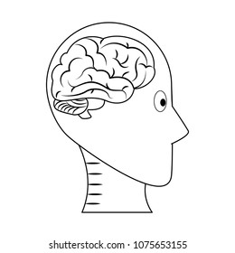 Head Silhouette Brain Inside On Black Stock Vector (Royalty Free ...