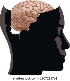 Head silhouette with brain vector flat illustration isolated on white.