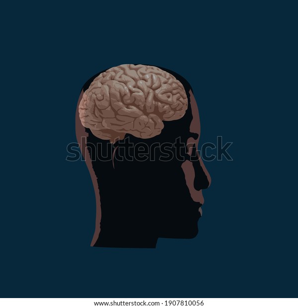 Head silhouette with brain vector flat\
illustration isolated
