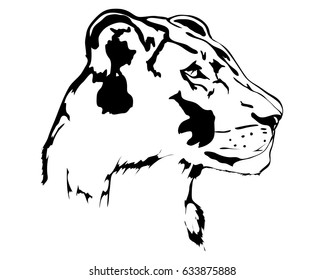 Head silhouette of lioness vector illustration