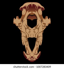it's head skull animal