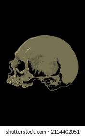 Head skull artwork vector illustration