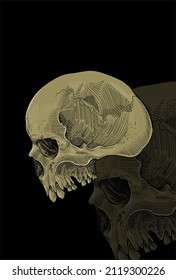 Ilustración vectorial de la ilustración del cráneo de la cabeza