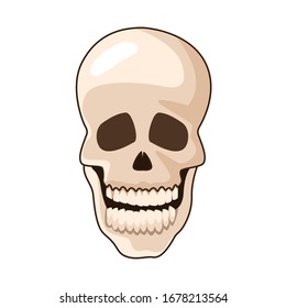 head skull bone isolated icon vector illustration design