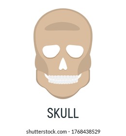 Head skull bone, xray concept icon, roentgen human body image isolated on white, flat vector illustration. Skeleton part of man organism, silhouette black biological science.