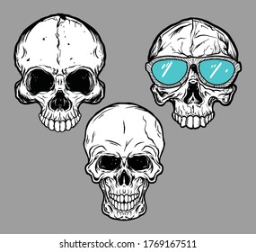 Head Skull Bundling Image Vector