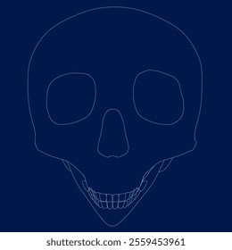head skull contour drawn illustration vector