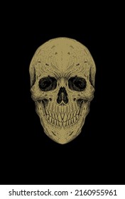 Head skull detail artwork illustration