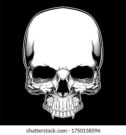 head skull detailed artwork black and white isolated