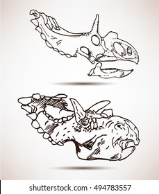 Head Skull Dino Triceratops. Dinosaur Sketch Vector