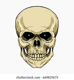 Head Skull Hand Drawing illustration