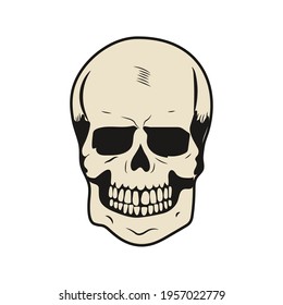 head skull motorbike bone sticker