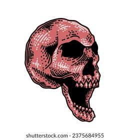 Head Skull side view vintage engraving style 