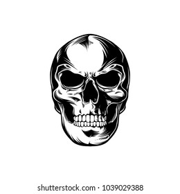 Head skull vector