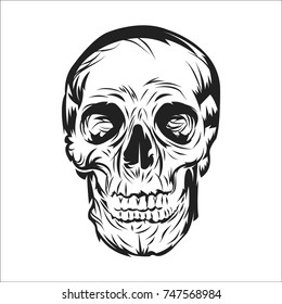 Head skull vector illustration