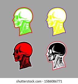 head skull x-ray  human skeleton
