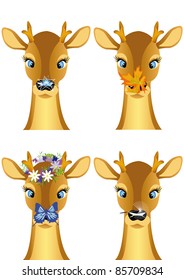 head of the small deer in different season