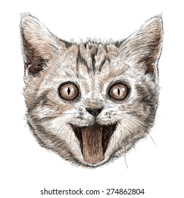 head of smiling cat hand drawn isolated on white background