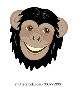head of a smiling monkey