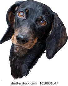 Head of a smooth-haired dachshund isolated on a white background. The dog tilted its head to the side and looks at you. Vector. Polygonal graphics.