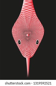 the head of snake 
