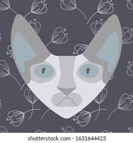 The head of a Sphinx cat on a blue background with the contours of delicate colors. Vector illustration for cover, bags, cups, and more