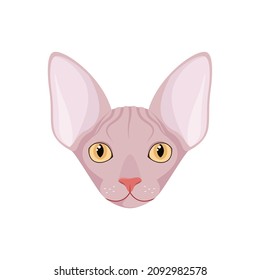 The head of a sphinx cat on a white background. Cartoon design.
