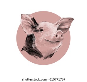 head of spotted pig, sketch vector graphics black and white pattern on a background of pink circle