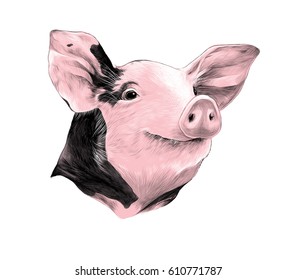 1,356 Spotted hog Images, Stock Photos & Vectors | Shutterstock