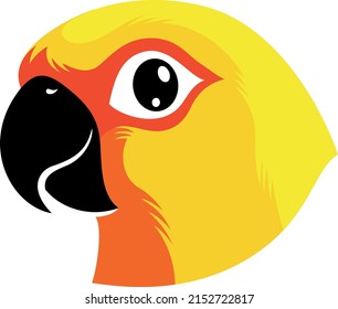 Head of Sun Conure Parrot 