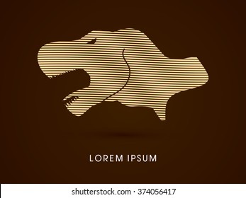Head T rex dinosaur designed using line graphic vector