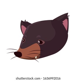 Head of Tasmanian devil on white background. vector illustration design.