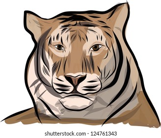 head of a tiger