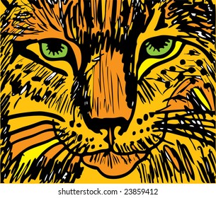 head of tiger