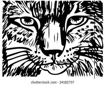 head of tiger