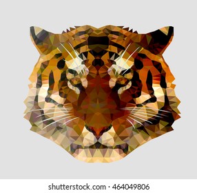 The head of a tiger drawn contour with polygonal graphics, placed on a classical gray background.