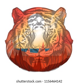 Head of a tiger with an evening landscape of wildlife. Vector illustration for prints on t-shirts, tattoos and much more.