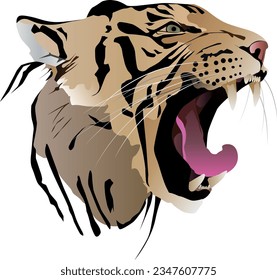 The head of tiger hunter with open mouth