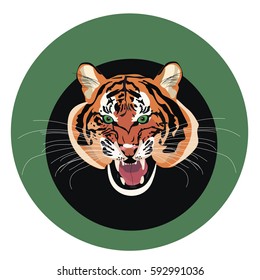 Head tiger - icon vector, illustration fece
