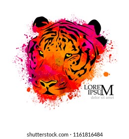 head of the tiger from the multicolored paint stains