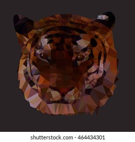 The head of a tiger on a gray background.
