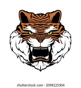 Head tiger with an open mouth, growls, on a white background. Vector illustration