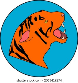 Head of tiger roaring in a blue background. 