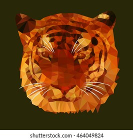 The head of a tiger in shades of red color.